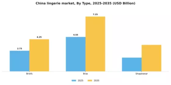 China Lingerie Market Segment Image 2