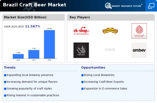 Brazil Craft Beer Market Infographic