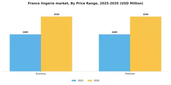 France Lingerie Market Segment Image 1