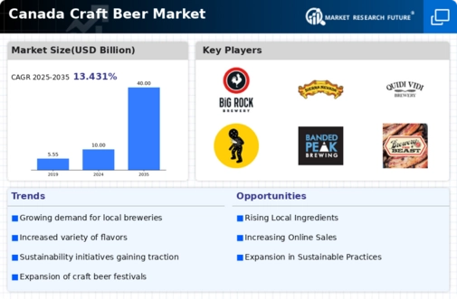 Canada Craft Beer Market Infographic