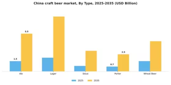 China Craft Beer Market Segment Image 3