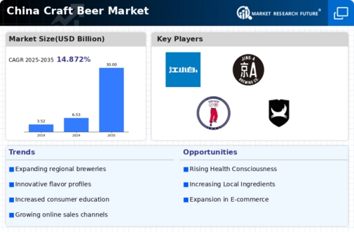 China Craft Beer Market Infographic