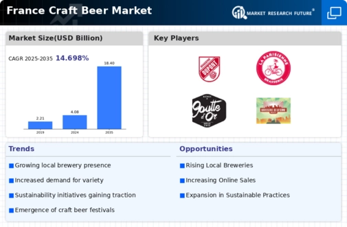 France Craft Beer Market Infographic