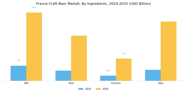 France Craft Beer Market Segment Image 1