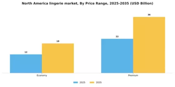 North America Lingerie Market Segment Image 1