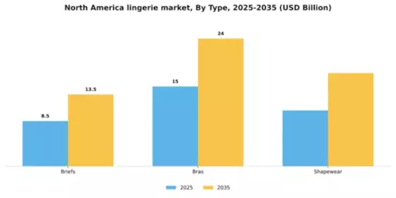 North America Lingerie Market Segment Image 2