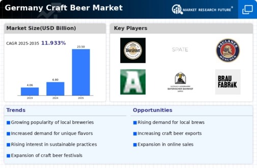 Germany Craft Beer Market Infographic