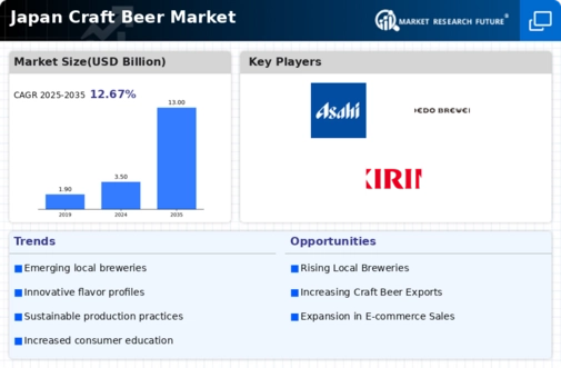 Japan Craft Beer Market Infographic