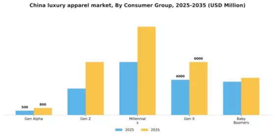 China Luxury Apparel Market Segment Image 0