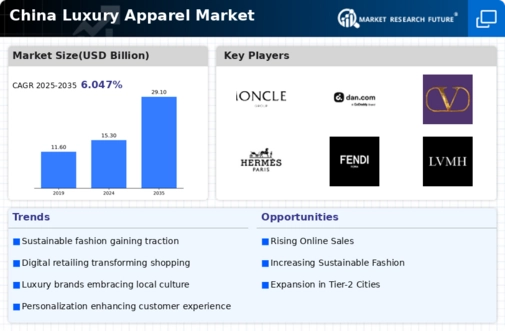 China Luxury Apparel Market Infographic
