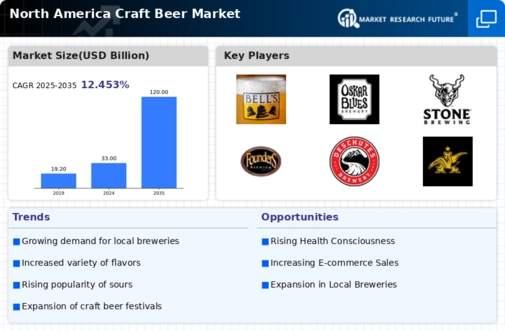 North America Craft Beer Market Infographic