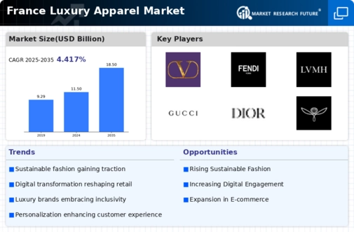 France Luxury Apparel Market Infographic