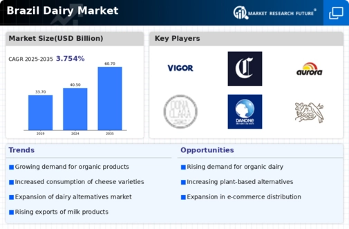 Brazil Dairy Market Infographic