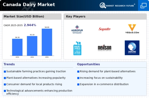 Canada Dairy Market Infographic