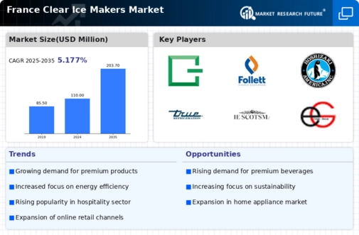 France Clear Ice Makers Market Infographic