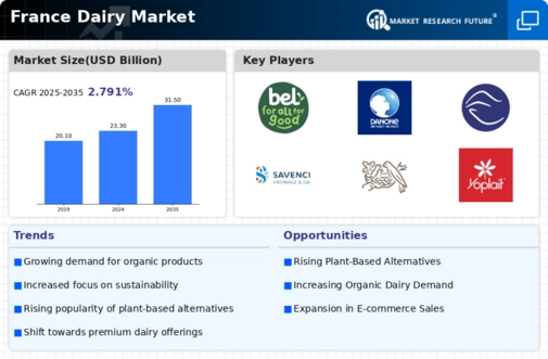 France Dairy Market Infographic