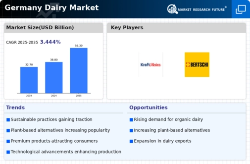 Germany Dairy Market Infographic