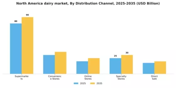 North America Dairy Market Segment Image 1