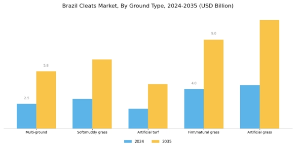 Brazil Cleats Market Segment Image 1