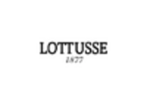 Brazil Cleats Market key player