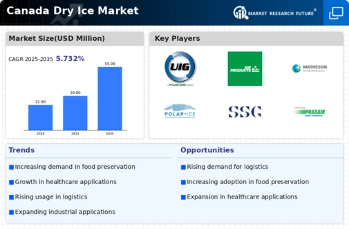 Canada Dry Ice Market Infographic