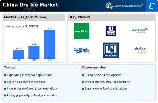 China Dry Ice Market Infographic