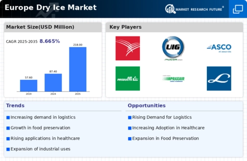 Europe Dry Ice Market Infographic