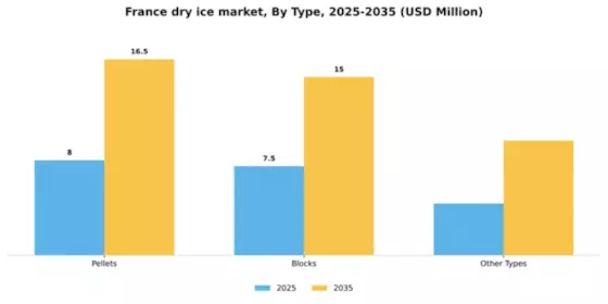 France Dry Ice Market Segment Image 1