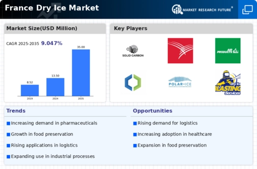 France Dry Ice Market Infographic