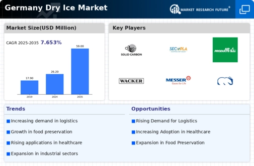 Germany Dry Ice Market Infographic