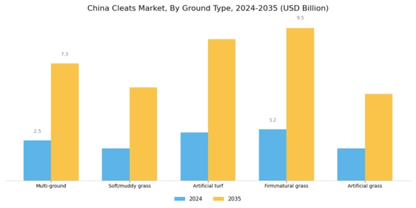 China Cleats Market Segment Image 1