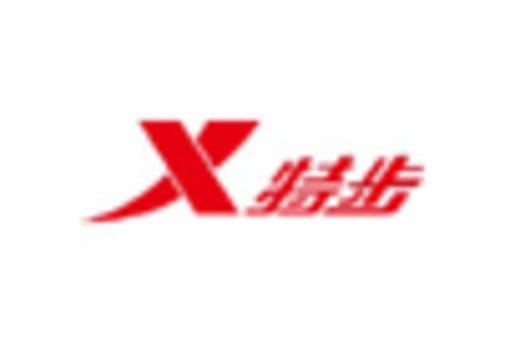 China Cleats Market key player