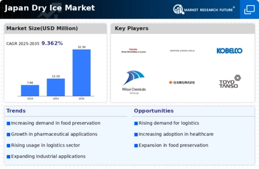 Japan Dry Ice Market Infographic