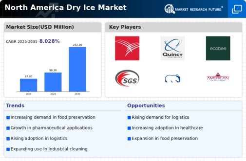 North America Dry Ice Market Infographic