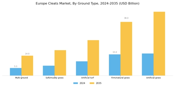 Europe Cleats Market Segment Image 1