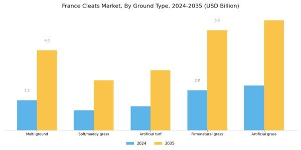 France Cleats Market Segment Image 1