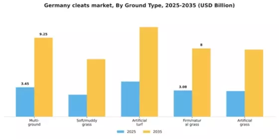 Germany Cleats Market Segment Image 1
