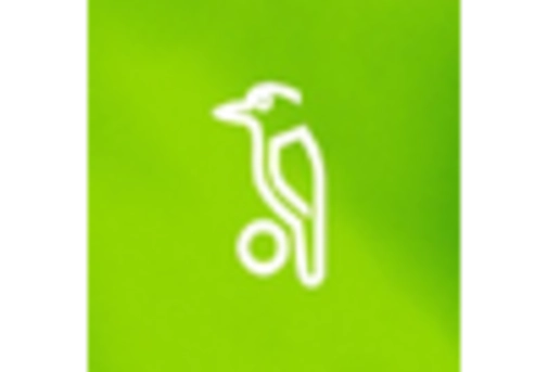 India Cleats Market key player