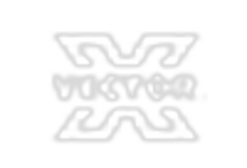 India Cleats Market key player