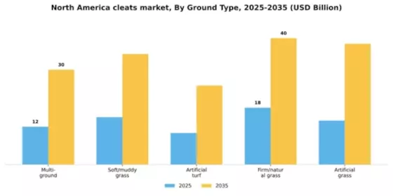 North America Cleats Market Segment Image 1