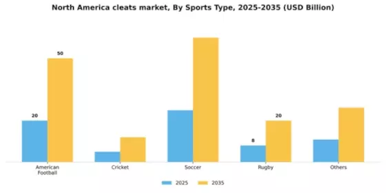 North America Cleats Market Segment Image 2