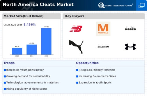 North America Cleats Market Infographic