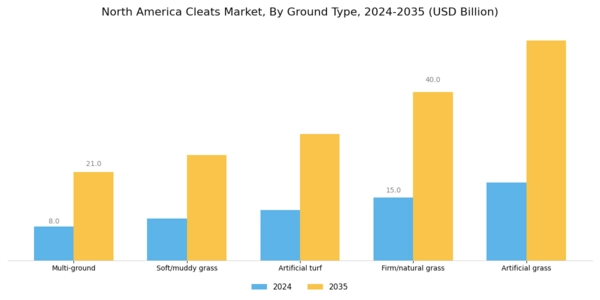 North America Cleats Market Segment Image 1