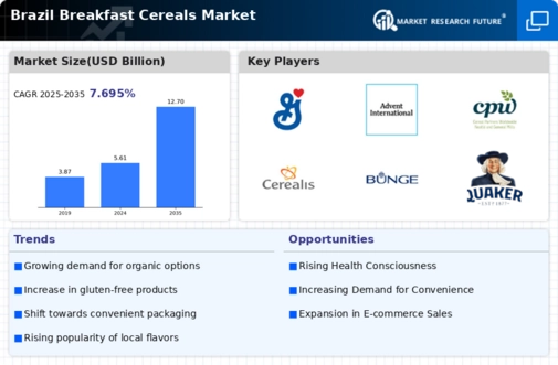 Brazil Breakfast Cereals Market Infographic