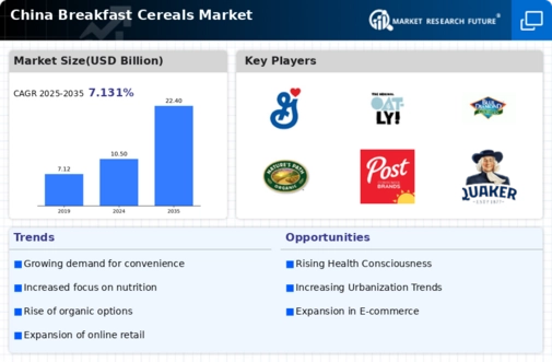 China Breakfast Cereals Market Infographic