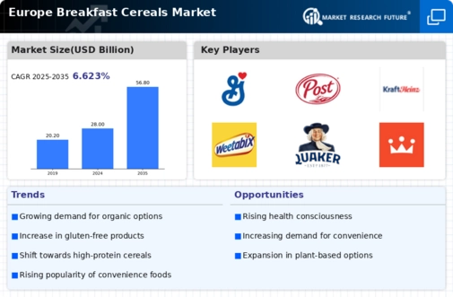 Europe Breakfast Cereals Market Infographic