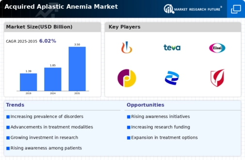 Acquired Aplastic Anemia Market Infographic