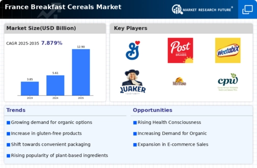 France Breakfast Cereals Market Infographic
