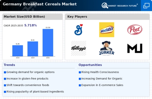 Germany Breakfast Cereals Market Infographic