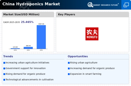 China Hydroponics Market Infographic